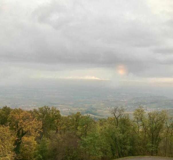 اتاق استاندارد با چشم‌انداز کوهستان, Domaine Du Haut Koenigsbourg