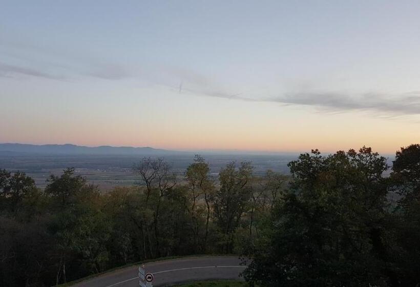 اتاق استاندارد با چشم‌انداز کوهستان, Domaine Du Haut Koenigsbourg