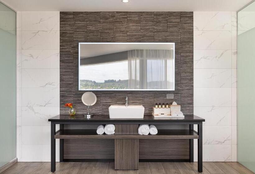 اتاق لوکس با تخت بزرگ, Pullman Rotorua