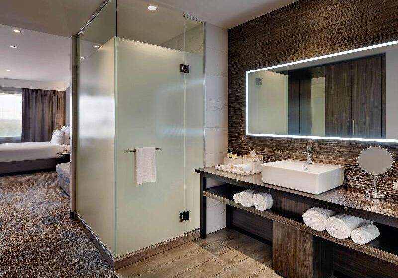 اتاق دلوکس با تخت کینگ و چشم‌انداز شهر, Pullman Rotorua