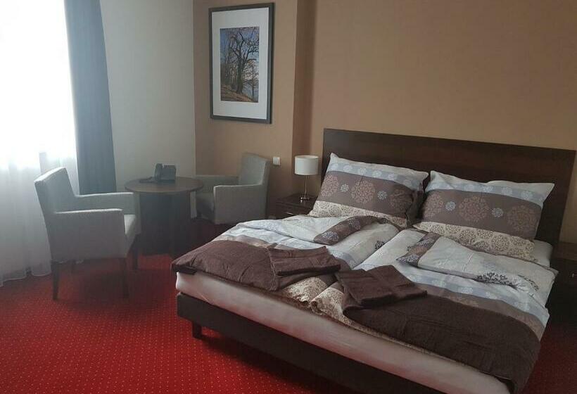 غرفة قياسية, Wellness Hotel Harmonie Třeboň