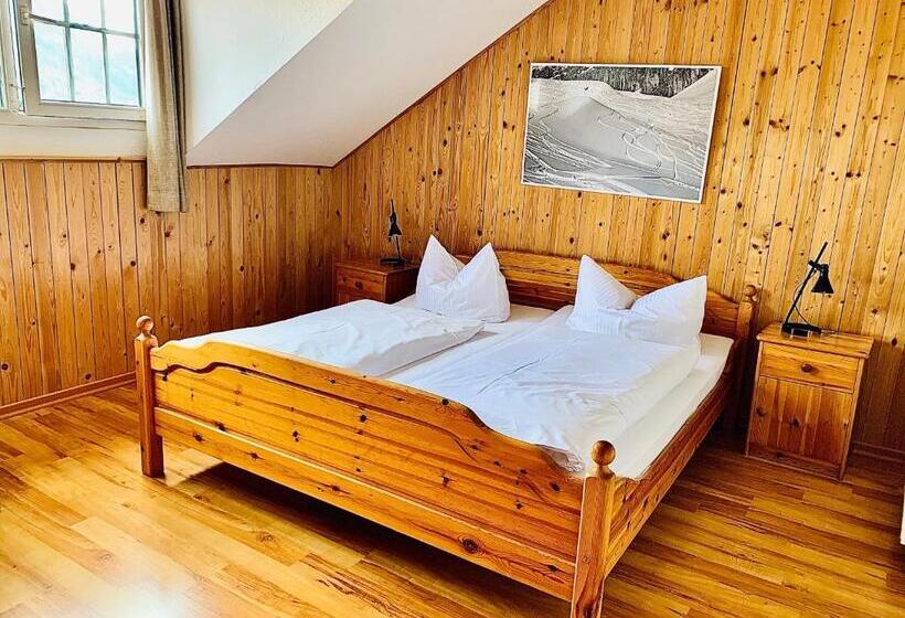اتاق خانوادگی, Gästehaus Hohe Tannen