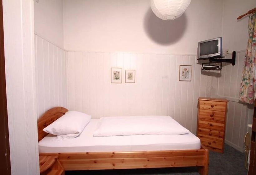 اتاق استاندارد یک نفره, Gästehaus Hohe Tannen