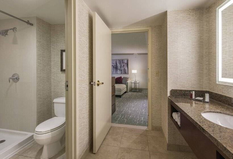 اتاق استاندارد با 2 تخت دوبل, Denver Airport Marriott At Gateway Park