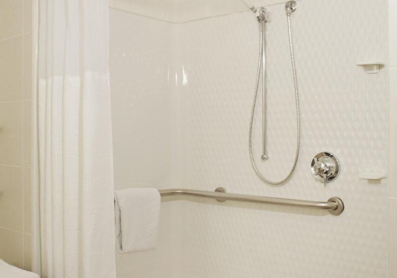 اتاق استاندارد با تخت بزرگ, Denver Airport Marriott At Gateway Park