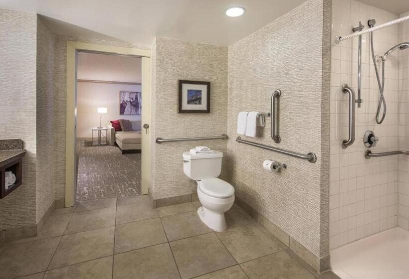 Deluxe Suite King Bed, Denver Airport Marriott At Gateway Park