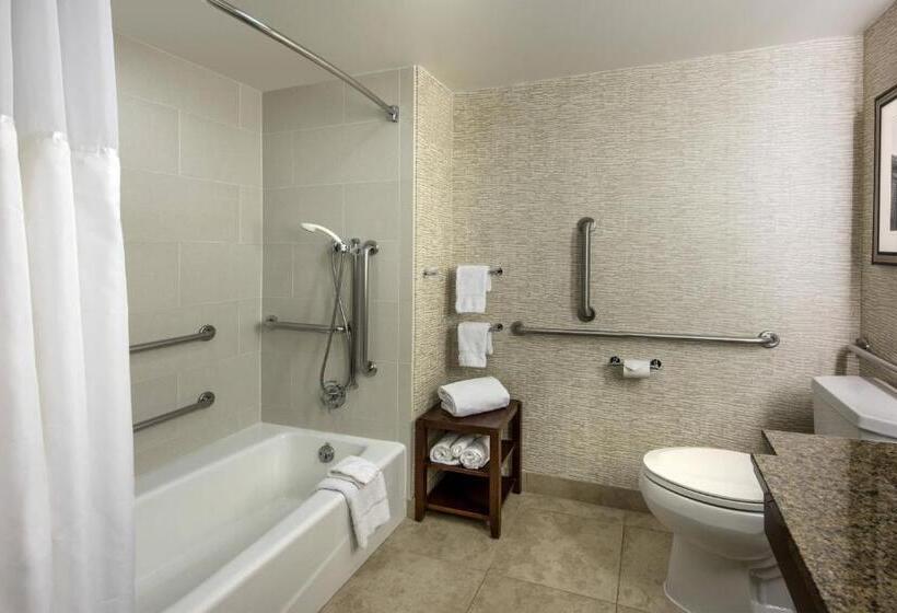 اتاق دلوکس مخصوص معلولین, Denver Airport Marriott At Gateway Park