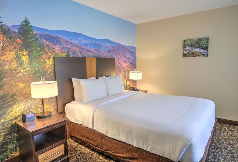 スイート, Leconte Hotel & Convention Center, Ascend Hotel Collection