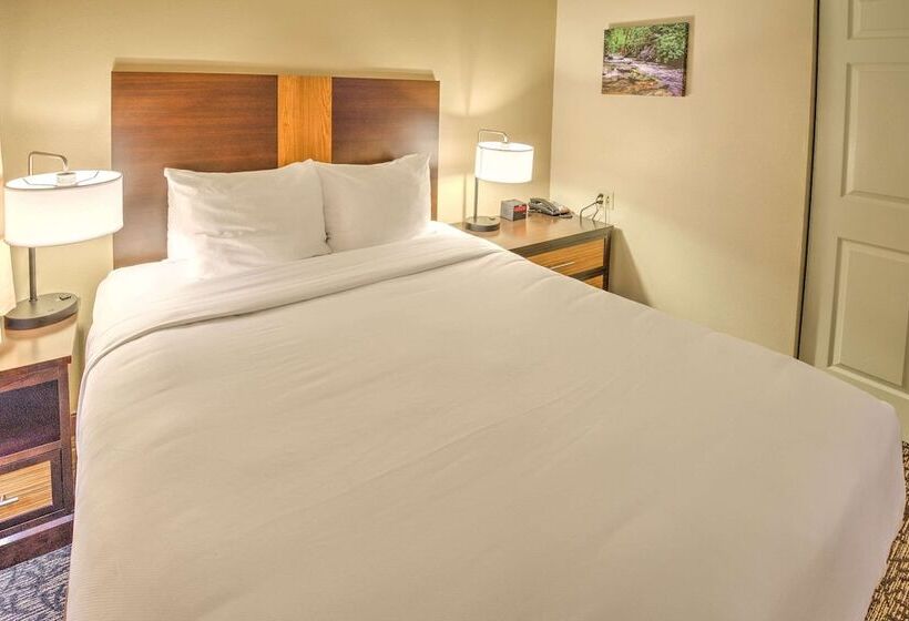 スイート, Leconte Hotel & Convention Center, Ascend Hotel Collection