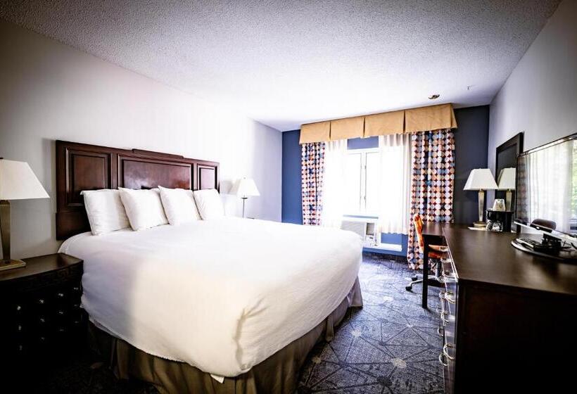 اتاق استاندارد با تخت بزرگ, Manistee Inn & Marina