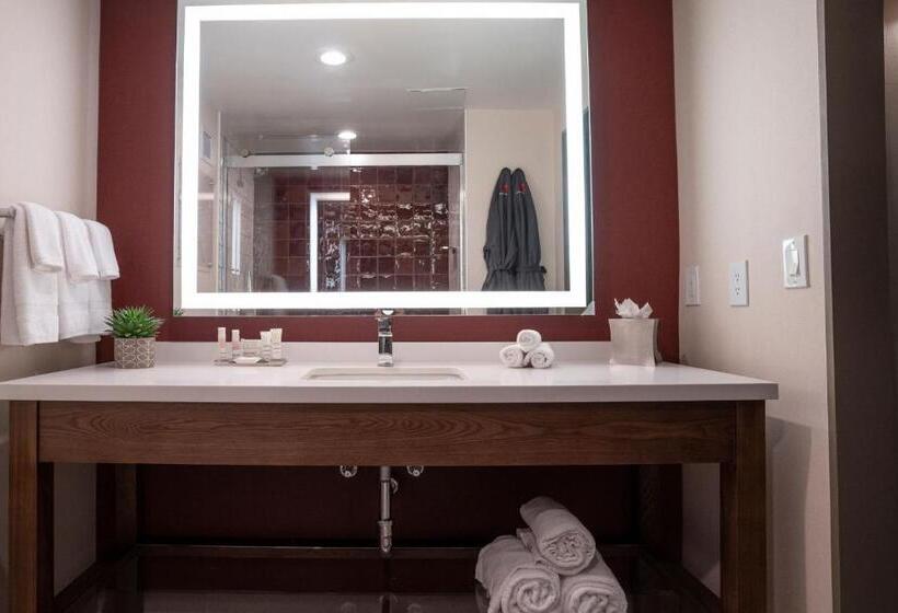 اتاق استاندارد با 2 تخت دوبل, Napa Valley Marriott Hotel & Spa