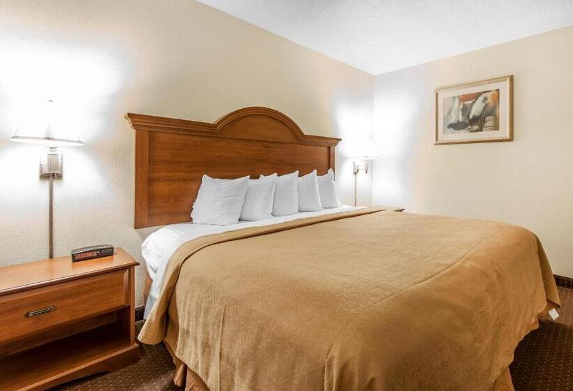 سوئیت با تخت بزرگ, Quality Inn & Suites At Dollywood Lane