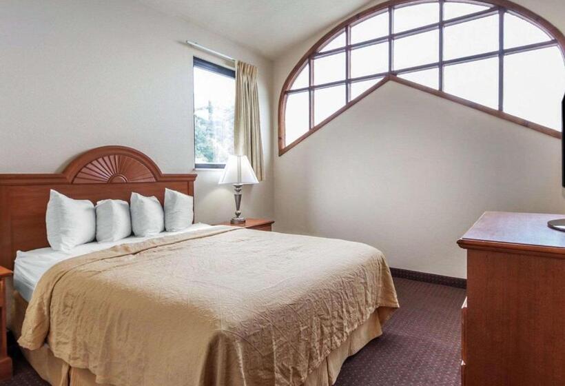 سوئیت با تخت بزرگ, Quality Inn & Suites At Dollywood Lane
