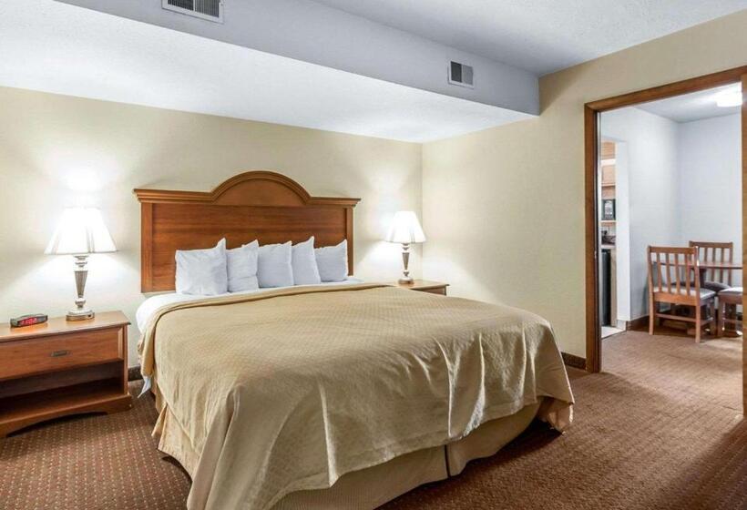 Suite Llit King, Quality Inn & Suites At Dollywood Lane