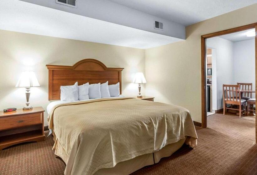 اتاق استاندارد با تخت بزرگ برای معلولان, Quality Inn & Suites At Dollywood Lane