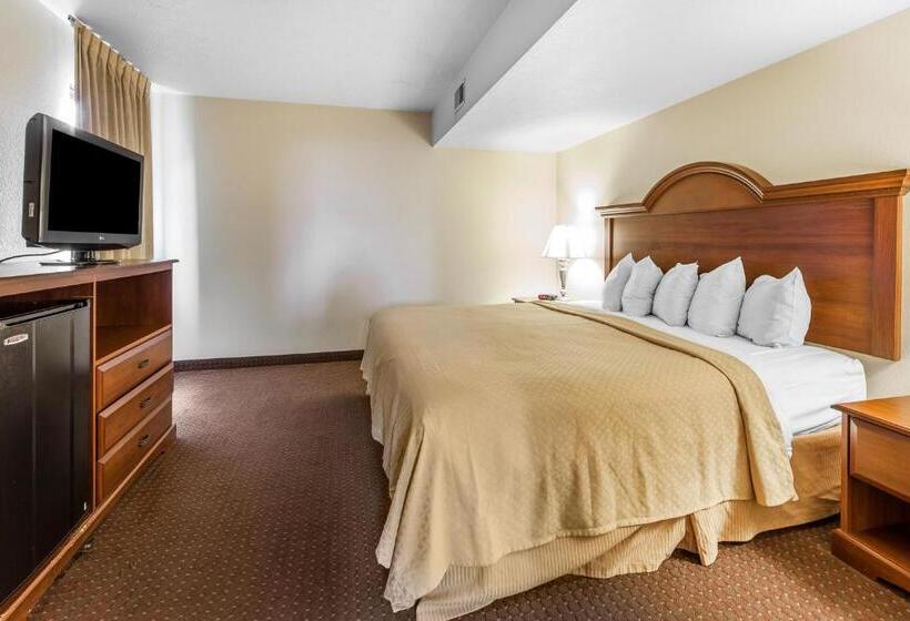 اتاق استاندارد با تخت بزرگ برای معلولان, Quality Inn & Suites At Dollywood Lane