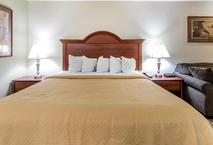 اتاق استاندارد با تخت بزرگ برای معلولان, Quality Inn & Suites At Dollywood Lane