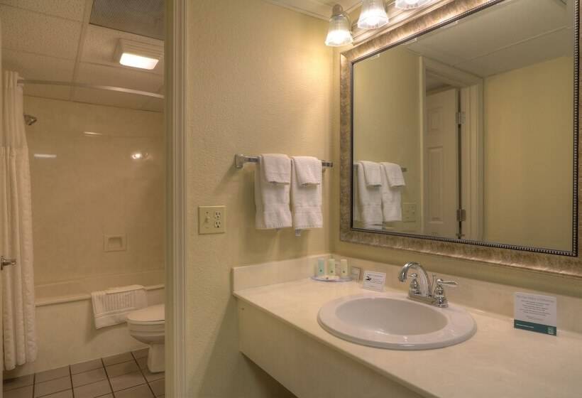سوییت, Quality Inn & Suites At Dollywood Lane