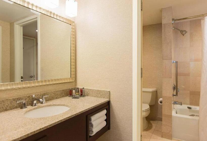 Люкс Кровать Кинг, Washington Dulles Marriott Suites