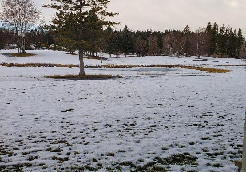 اتاق لوکس با تخت بزرگ, Meadow Lake Resort & Condos