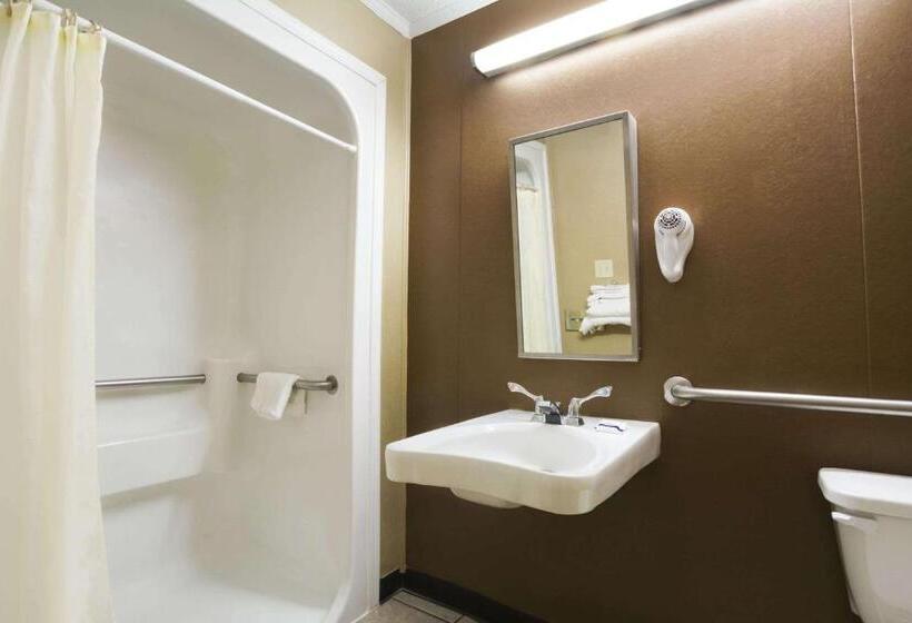 Standard Room Adapted for people with reduced mobility, Microtel Inn & Suites By Wyndham Columbia Two Notch Rd Area