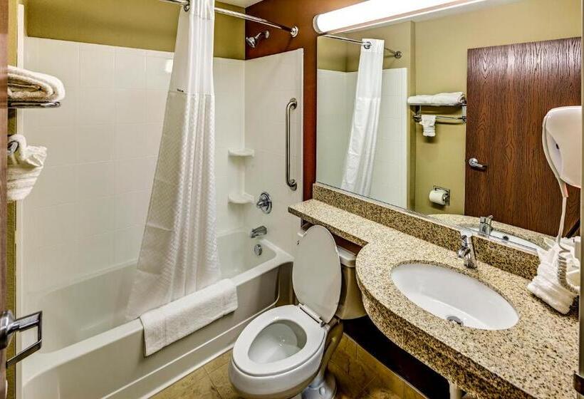 Standard Room, Microtel Inn & Suites By Wyndham North Canton