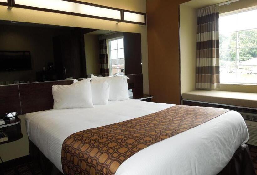 Standard Room Adapted for people with reduced mobility, Microtel Inn & Suites By Wyndham North Canton