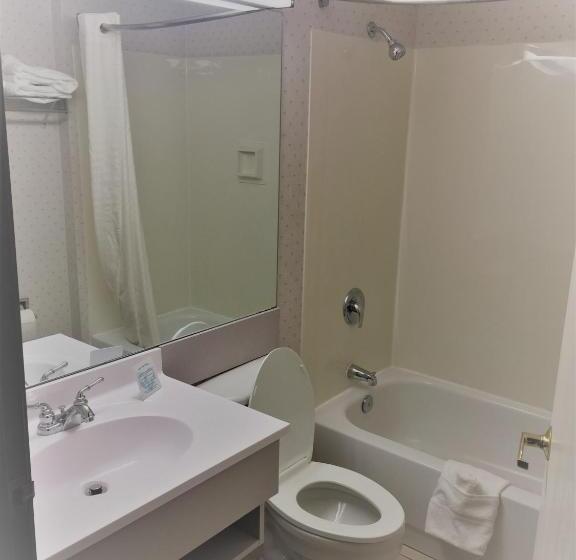 Chambre Standard, Microtel Inn & Suites By Wyndham Richmond Airport