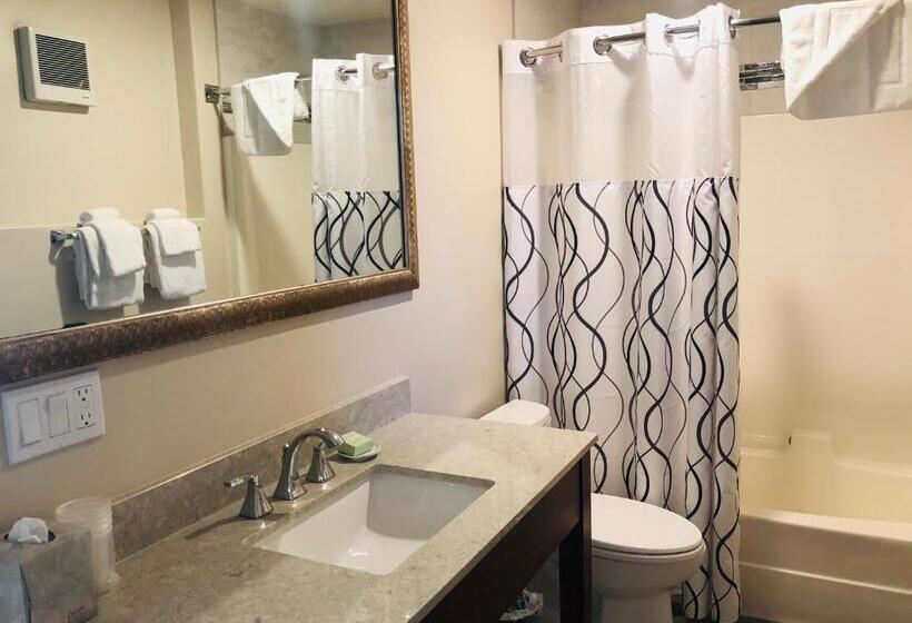 اتاق استاندارد اینتریور, Moonlight Beach Motel