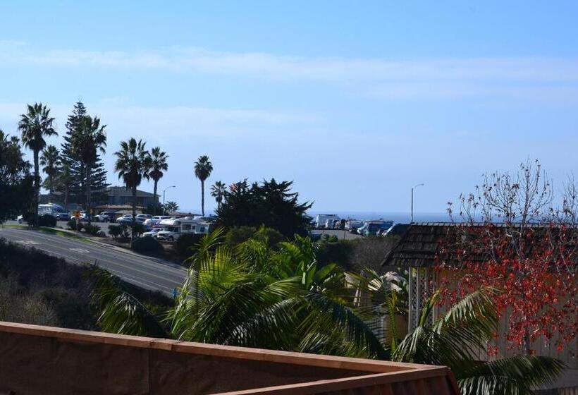 اتاق استاندارد با تخت بزرگ, Moonlight Beach Motel