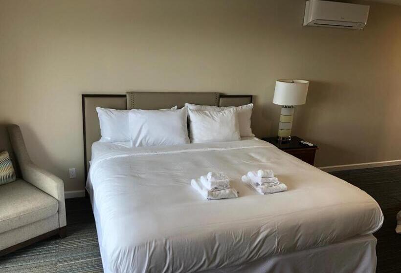 اتاق استاندارد با تخت بزرگ, Moonlight Beach Motel
