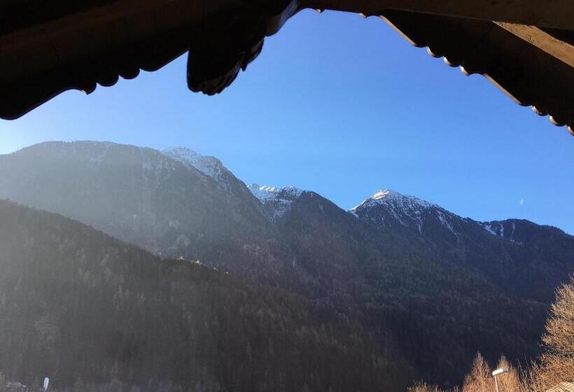 آپارتمان 1 خوابه, Haus Tirolerland