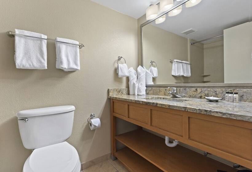 Quarto standard, Nautilus Inn  Daytona Beach