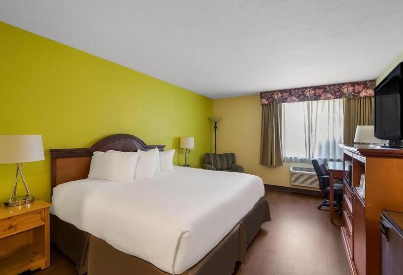 اتاق استاندارد با تخت بزرگ, Americas Best Value Sandman Inn