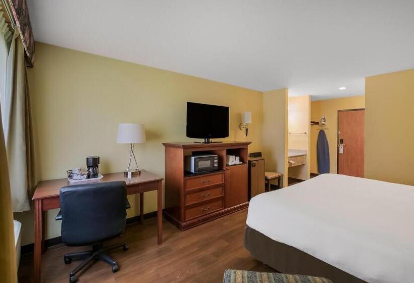 اتاق استاندارد با تخت بزرگ, Americas Best Value Sandman Inn
