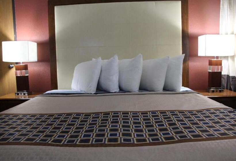 اتاق استاندارد با تخت بزرگ, Westbridge Inn And Suites