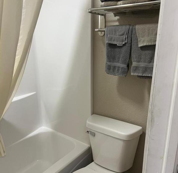اتاق استاندارد با تخت بزرگ, Westbridge Inn And Suites