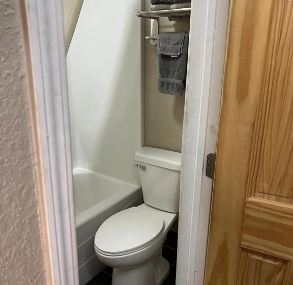 اتاق استاندارد با تخت بزرگ, Westbridge Inn And Suites