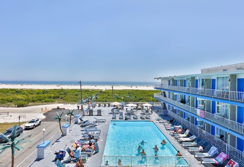 استودیوی لوکس, Olympic Island Beach Resort