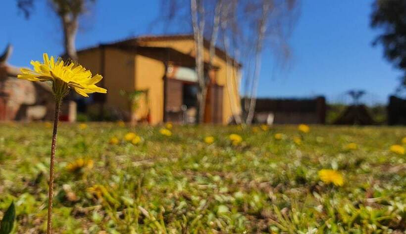 کابین, Masia Can Bachs