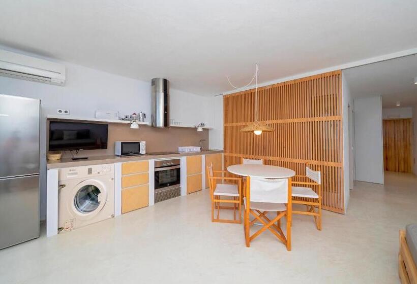 آپارتمان سوپریور 1 خوابه با چشم‌انداز دریا, Apartamentos Roca Plana
