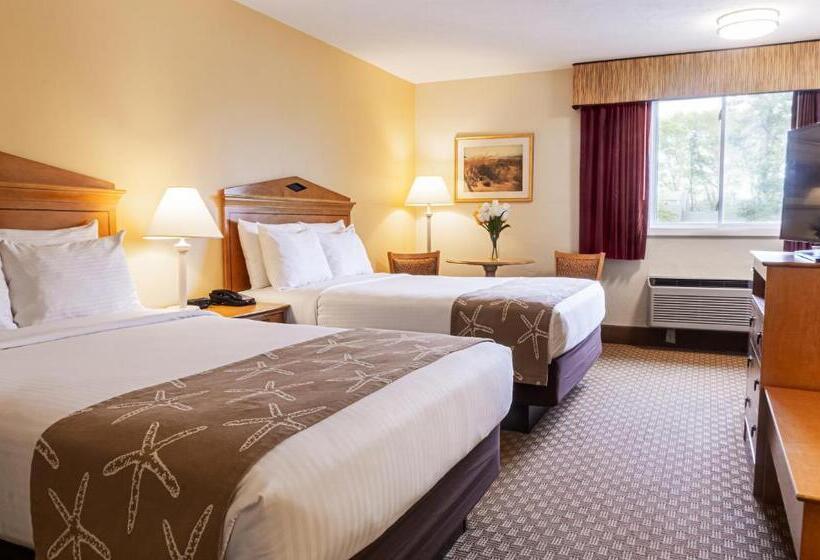 اتاق استاندارد با 2 تخت دوبل, Bayside Resort