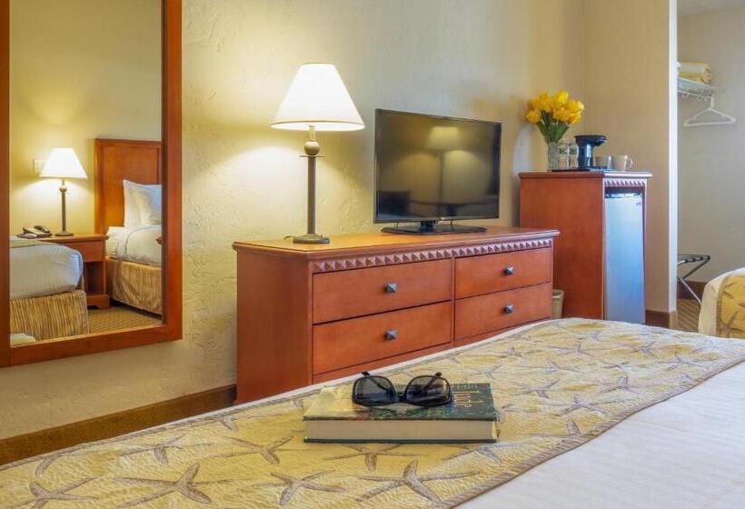 اتاق استاندارد برای معلولان, Bayside Resort