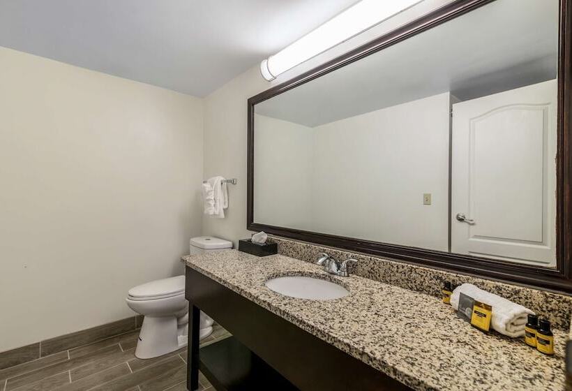 Suite Adaptada para personas con movilidad reducida, Best Western Plus Brunswick Bath