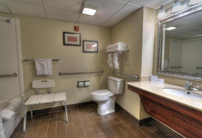 اتاق استاندارد با تخت بزرگ, Comfort Inn & Suites At Dollywood Lane