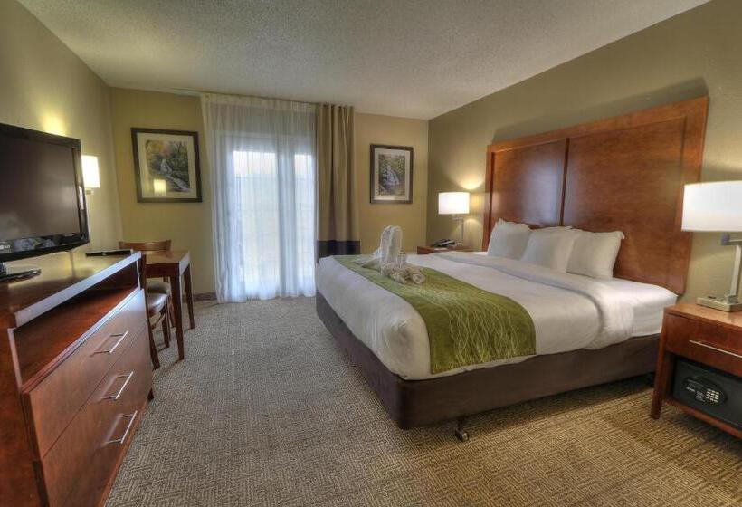 اتاق استاندارد با تخت بزرگ, Comfort Inn & Suites At Dollywood Lane