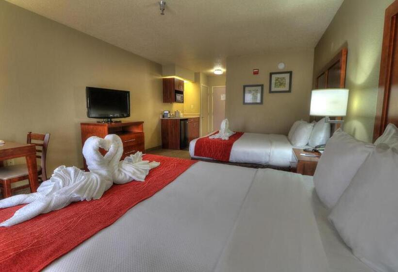 带2个双人床的标准工作室, Comfort Inn And Suites At Dollywood Lane