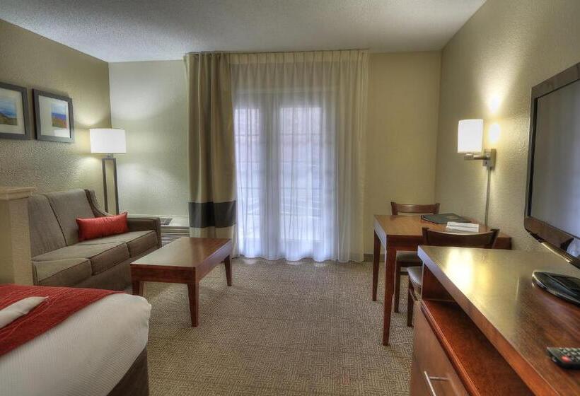 سوییت, Comfort Inn & Suites At Dollywood Lane