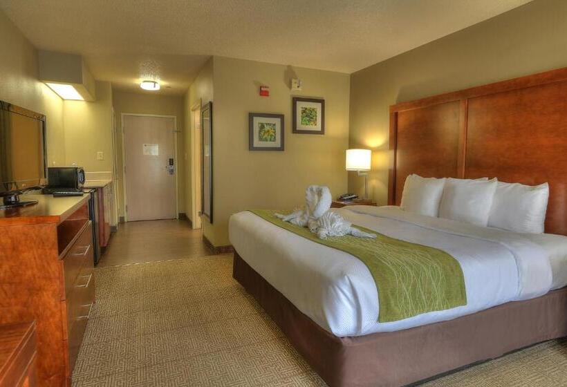 اتاق استاندارد با تخت بزرگ برای معلولان, Comfort Inn & Suites At Dollywood Lane