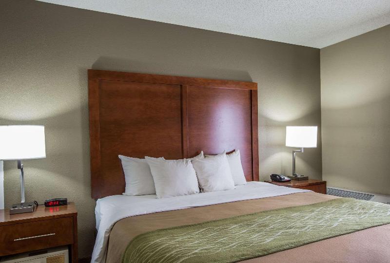 اتاق استاندارد با تخت بزرگ, Comfort Inn & Suites At Dollywood Lane